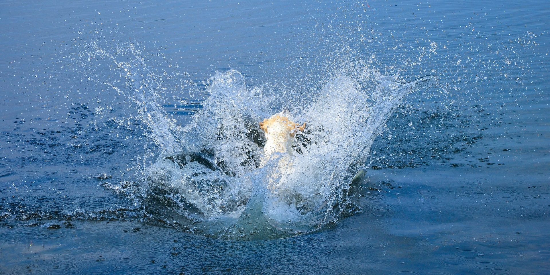 jump-3289603_1920 4 Benefits of Drinking water